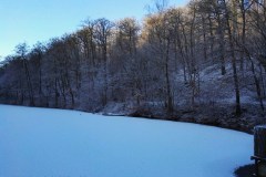 Teich-Winter-2