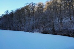 Teich-Winter-4